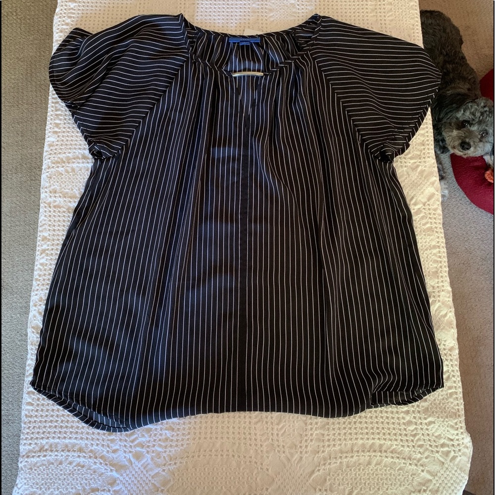 Pinstripe blouse